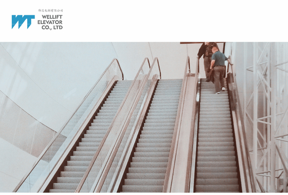 30° 35° Inclination 0.5m/S VVVF Control Shopping Mall Escalator